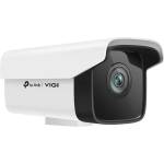 TP-Link VIGI C300P-6