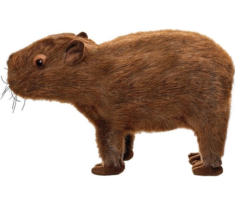 kapybara 33 cm