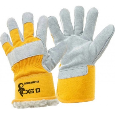 CXS Dingo Winter