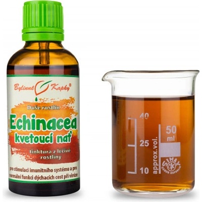 Bylinné kapky Echinacea echinacea kvitnúca vňať kvapky Duša rastlín tinktúra 50 ml
