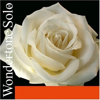 Pirastro Wondertone 410021