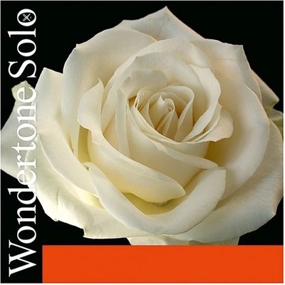 Pirastro Wondertone 410021