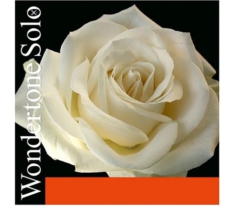 Pirastro Wondertone 410021