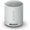 Sony SRS-XB100H