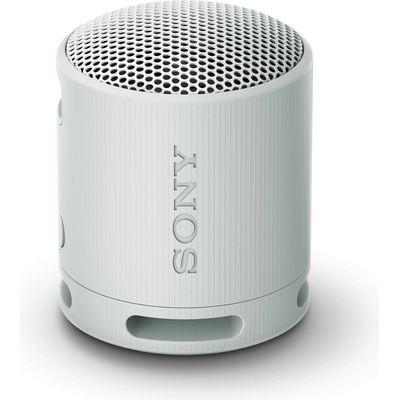 Sony SRS-XB100H