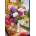 Castorland - Puzzle Still Life with Hydrangeas - 1 000 piese