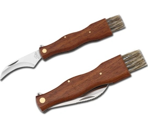 Beaver Gunter