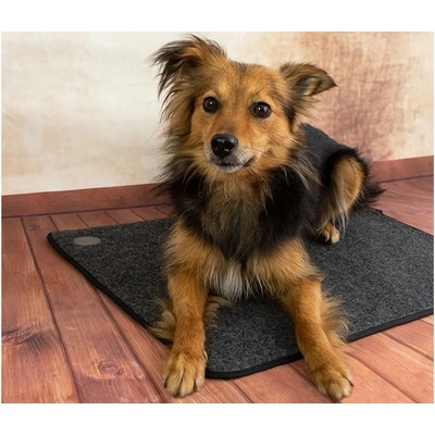 Thermodog Výhřevná podložka pro psy 3523000 topný koberec 40 x 60 cm