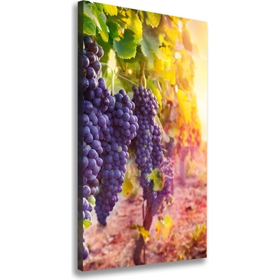 Vertikálny moderný obraz canvas na ráme Vinice 50x100 cm