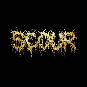 Warner Scour: Gold - CD (079158)
