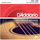 D'ADDARIO EJ24