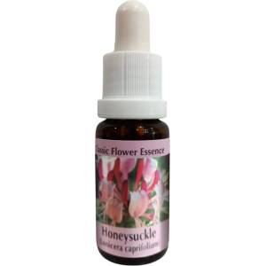 PHI Essences Насърчава позитивността - Есенция Орлови нокти № 16, капки 15 ml (16 CLASSIC)