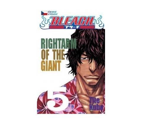 Bleach 5 - Tite Kubo