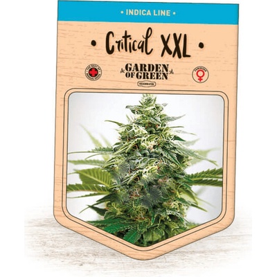 Garden Of Green Seedbank Critical XXL semienka neobsahujú THC 15 ks