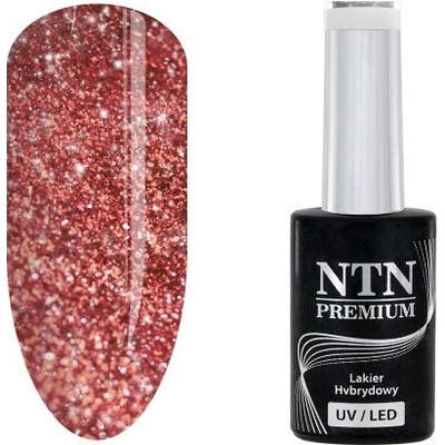 NTN Gél lak premium Show Flash 240 5 g