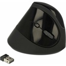 Delock 12599