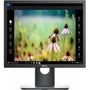 Dell P1917SE