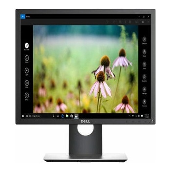 Dell P1917SE