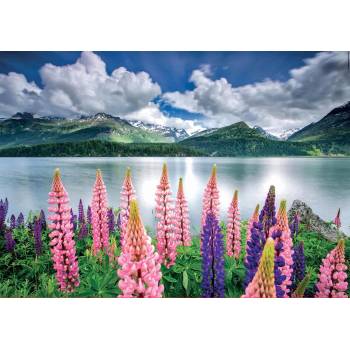 Educa - Puzzle Lupins On The Shores of Lake Sils, Switzerland - 1 500 piese