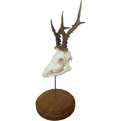 Dřevo Novák podložka pod trofej srnce na postavení č.161 – Zboží Mobilmania