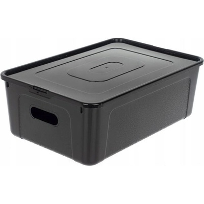 Kozáček úložný box MULTIBOX KOLOR 34 x 20 x 10 cm 5L transparentný