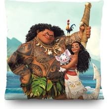 AG Design polštář Disney Moana 40x40