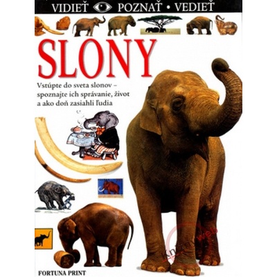 Slony - vidieť, poznať, vedieť
