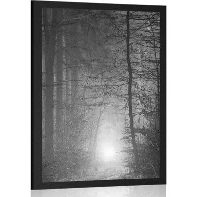 Plakát světlo v lese v černobílém provedení - 20x30 silver