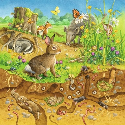 Ravensburger Zvířátka ve svých domovech 3 x 49 dielov