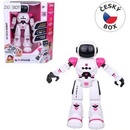 MaDe robot Sophie