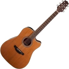 Takamine GD20CE