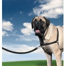 Postroje pre psov PetSafe Easy Walk Harness