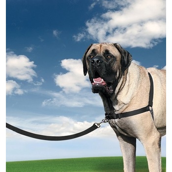 PetSafe Easy Walk Harness