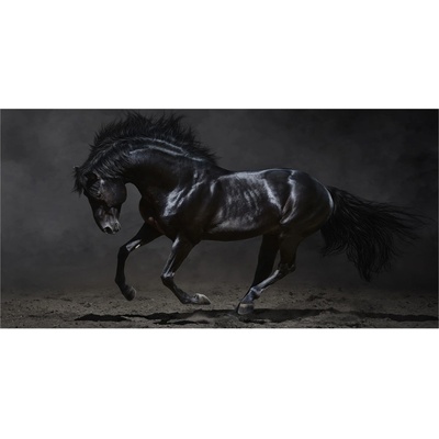 Foto obraz sklo tvrzené Čierny kôň 100x50 cm