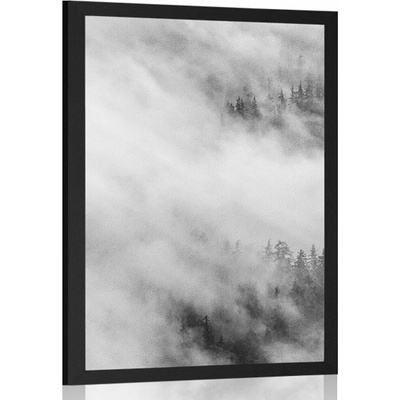 Plakát černobílý mlhavý les - 40x60 no frame