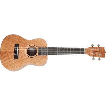 Tanglewood TWT6