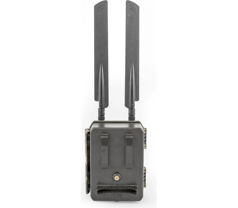 OXE Panther 4G