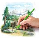 Staedtler 146C 12 farieb
