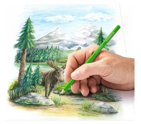 Staedtler 146C 12 farieb