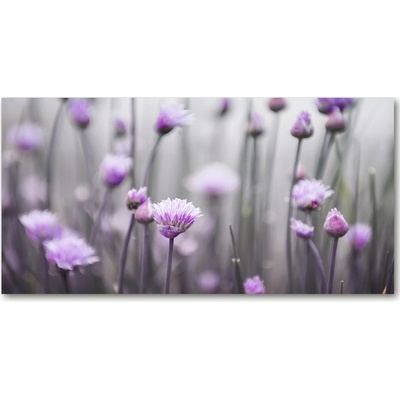 Fotoobraz na skle kvety pažítky 100x50 cm