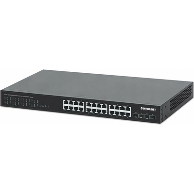 Intellinet 561761