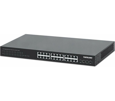 Intellinet 561761