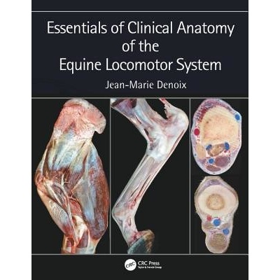 Essentials of Clinical Anatomy of the Equine Locomotor System Denoix Jean-Marie CIRALE-Hippolia Goustranville FrancePevná vazba