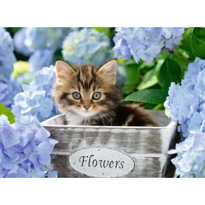 Ravensburger - Puzzle Little cat 300 XXL - 300 piese