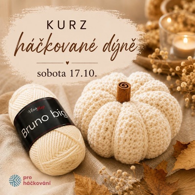 Pro Háčkování Kurz háčkované dýně