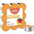 Bolsius Mango 18 ks