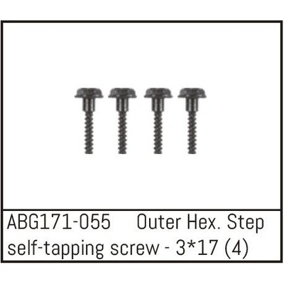 Absima ABG171-055 sada šroubů