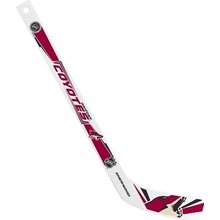 InGlasCo Mini NHL, Arizona Coyotes