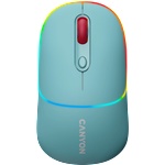 CANYON MW-22 (CNS-CMSW22DC)