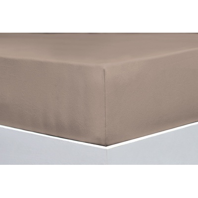 Florella Prostěradlo Avance Jersey Elastan Koreander 90-100x200-220